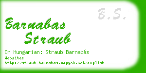barnabas straub business card